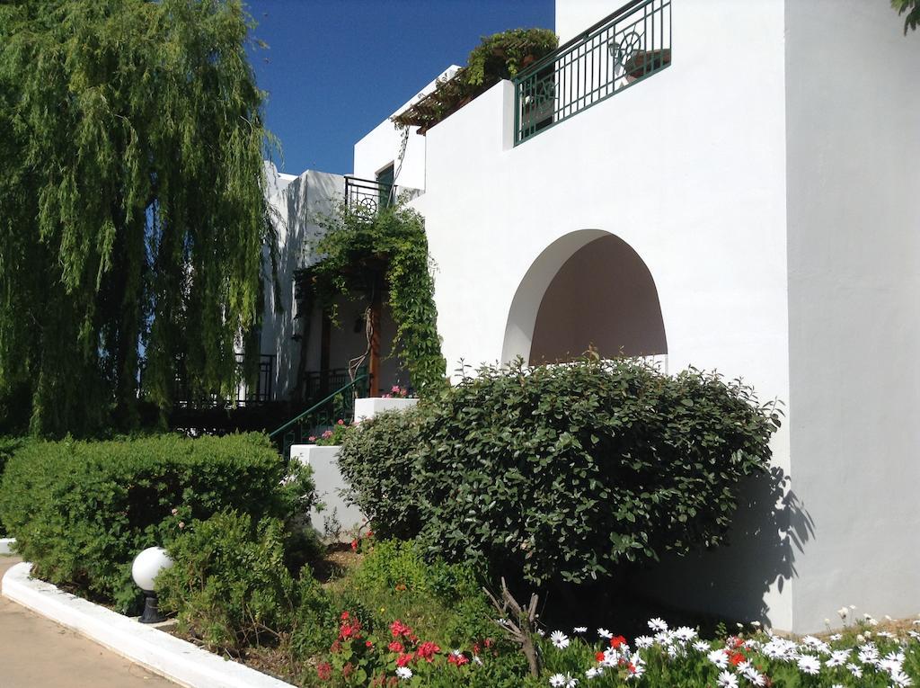Astir Of Naxos Hotell Naxos City Eksteriør bilde