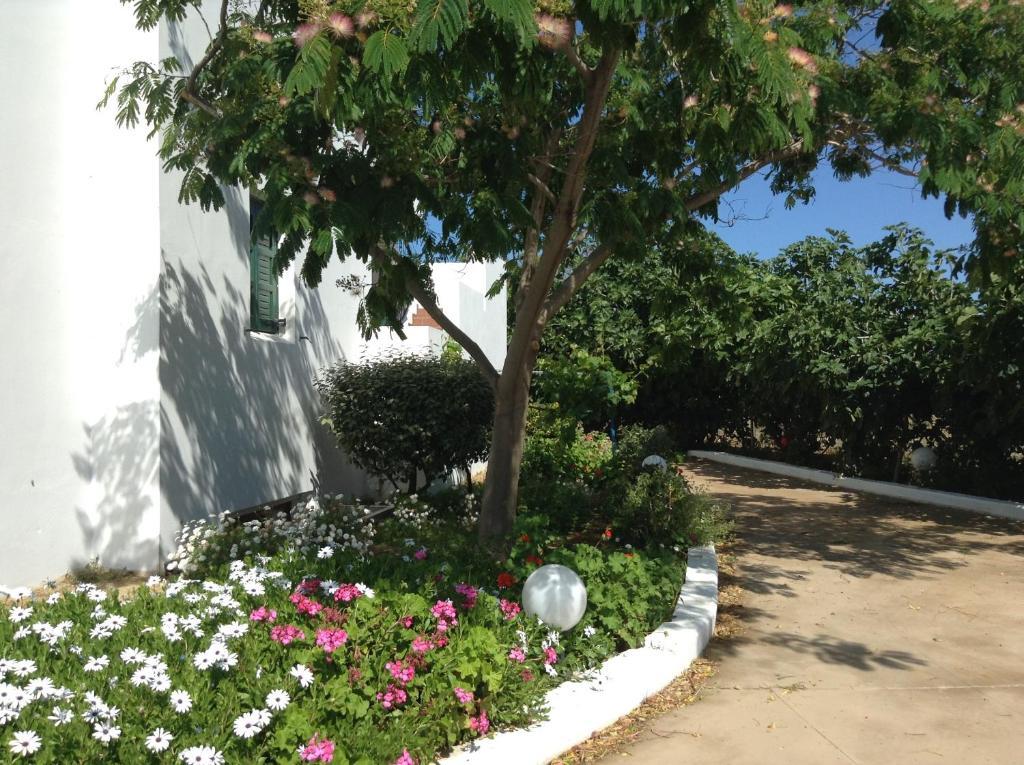 Astir Of Naxos Hotell Naxos City Eksteriør bilde